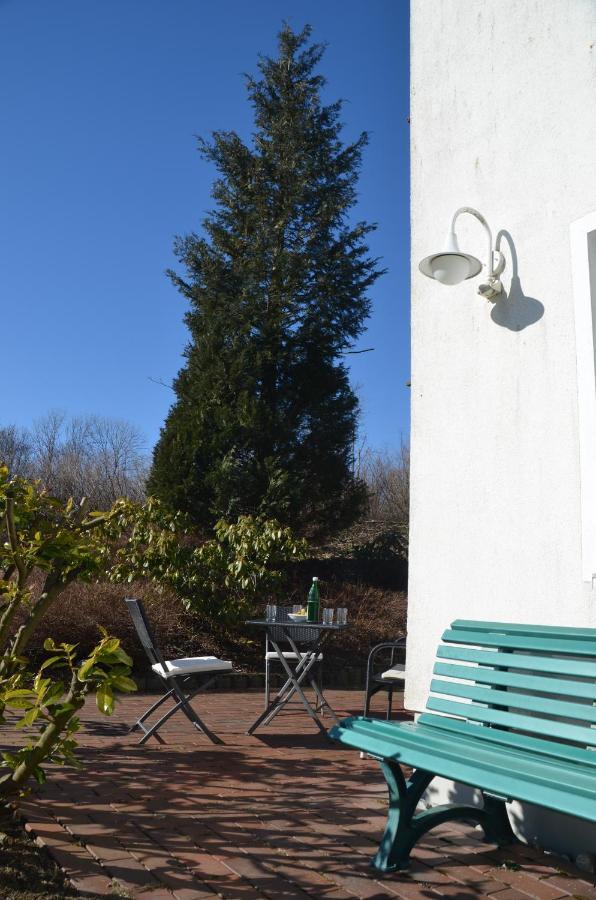 Ferienwohnung Sonnenblume Hohegeiß Exterior foto